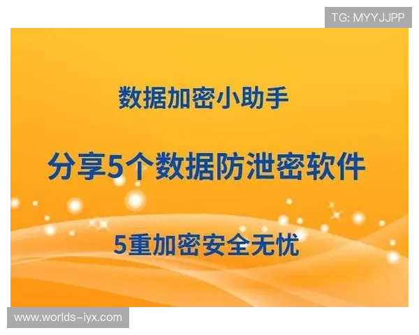 新爱登录加强数据加密措施，确保用户信息安全无忧